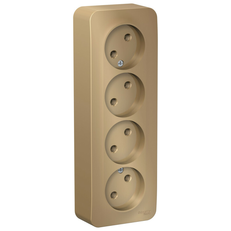 Картинка Systeme Electric Blanca наруж Титан Розетка 4-ая б/з без шторок 16А, 250В, изолир. пластина (BLNRA000414) в интернет-магазине Форум Электро в Москве