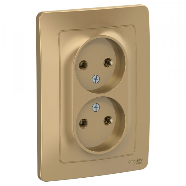 Картинка Systeme Electric Blanca внутр Титан Розетка 2-ая б/з без шторок, 16А, 250В (BLNRS000024) в интернет-магазине Форум Электро в Москве