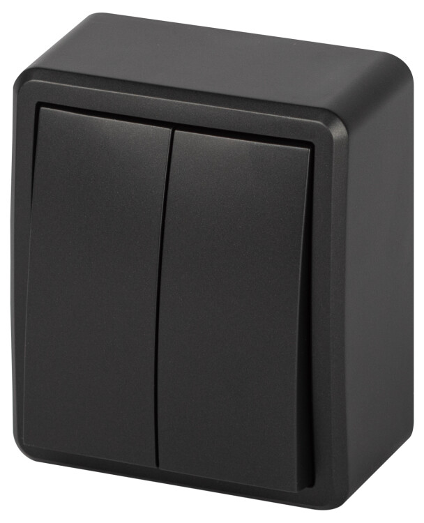 Картинка ЭРА Выключатель Эксперт 11-1204-05 двойной IP20 10АХ-250В ОУ антрацит (Б0063026) в интернет-магазине Форум Электро в Москве