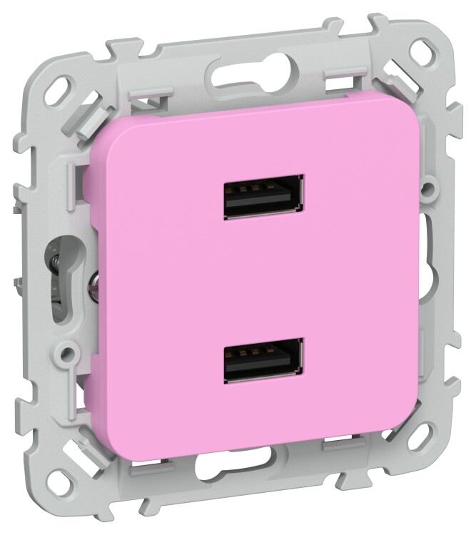 Картинка IEK FLITE Пурпурный Розетка USB A+A 31А (FI-U21-D31-K99) в интернет-магазине Форум Электро в Москве