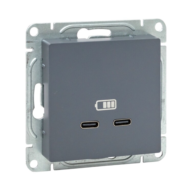 Картинка EKF Механизм розетки USB-C - 2шт, графит Эпика (UP1-SOG-2USBC) в интернет-магазине Форум Электро в Москве