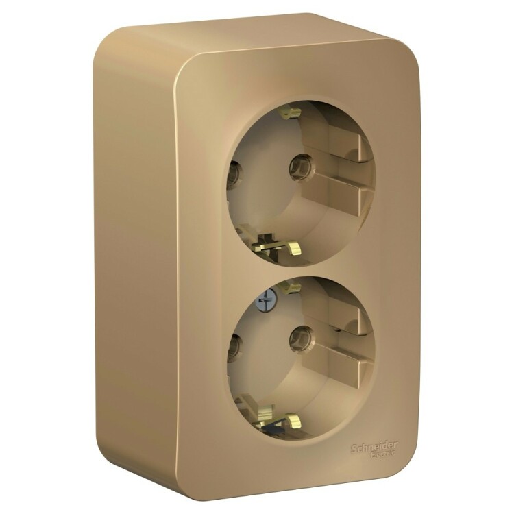 Картинка Systeme Electric Blanca наруж Титан Розетка 2-ая с/з без шторок 16А, 250В, изолир. пластина (BLNRA010214) в интернет-магазине Форум Электро в Москве