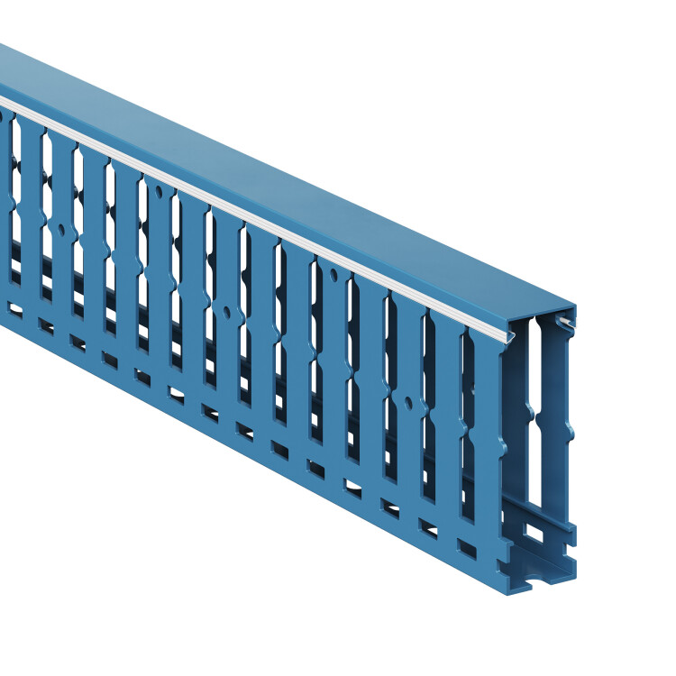 DKC Короб перфорированный, синий RL12 25x80 (01137RL) превью в интернет-магазине электрики Форум Электро в Москве
