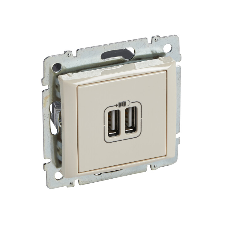 Картинка Роз 2хUSB A-A VALENA СЛНК (774170) в интернет-магазине Форум Электро в Москве
