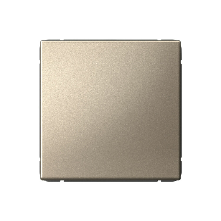 Фотография Systeme Electric ArtGallery Шампань Выключатель 1-клавишный кнопочный, 10А, механизм (GAL000515) в интернет-магазине Форум Электро в Москве Картинка Systeme Electric ArtGallery Шампань Выключатель 1-клавишный кнопочный, 10А, механизм (GAL000515) в интернет-магазине Форум Электро в Москве