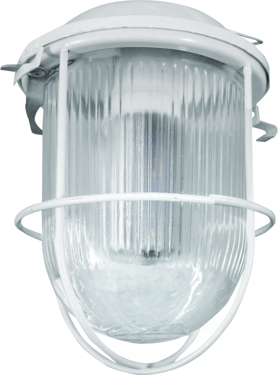 Diora Светодиодный светильник NSP Light 7/900 900лм 7Вт 4000K IP52 80Ra Kп<2 (DNSPL7-4K) превью в интернет-магазине электрики Форум Электро в Москве