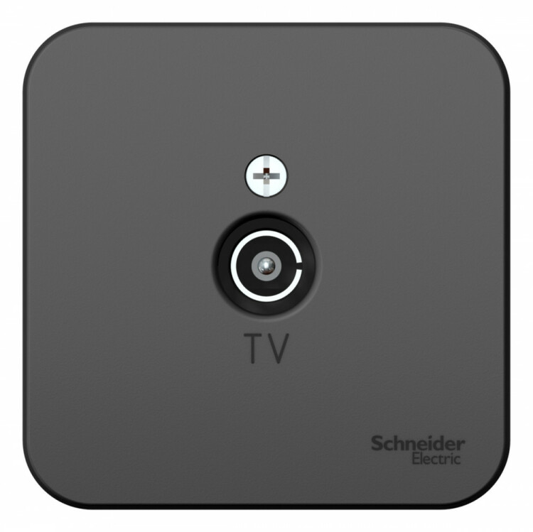 Картинка Systeme Electric Blanca наруж Антрацит Розетка TV, изолир. пластина (BLNTA000016) в интернет-магазине Форум Электро в Москве