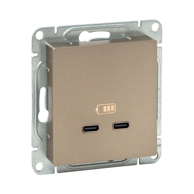 Картинка EKF Механизм розетки USB-C - 2шт, шампань Эпика (UP1-SOC-2USBC) в интернет-магазине Форум Электро в Москве