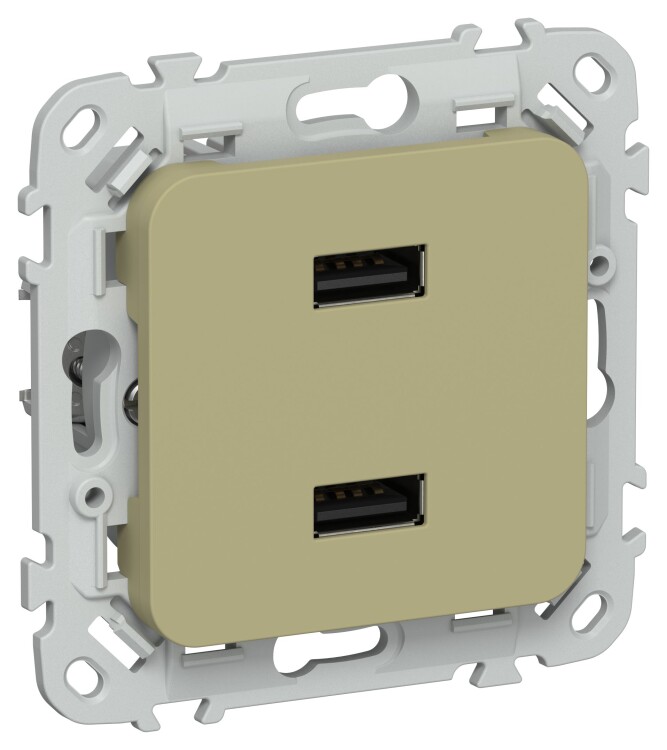 Картинка IEK FLITE Оливковый Розетка USB A+A 31А (FI-U21-D31-K26) в интернет-магазине Форум Электро в Москве