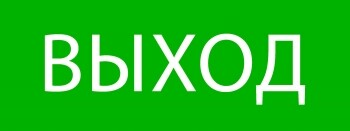 EKF PROxima Пиктограмма "Выход" 320х120мм (для EXIT, SAFEWAY-40) (pkal-01-01) превью в интернет-магазине электрики Форум Электро в Москве