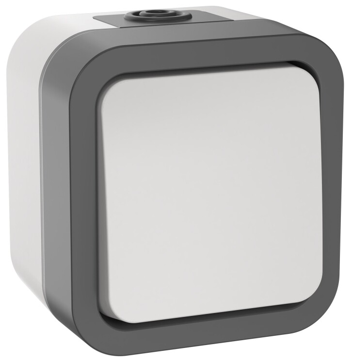 Картинка TORS Выключатель кнопочный 10А IP55 TS210 белый IEK (TS-V14-0-10-55-K41) в интернет-магазине Форум Электро в Москве