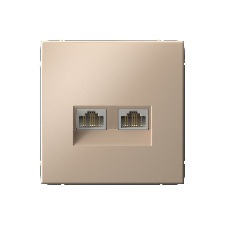 Картинка ARTGALLERY РОЗЕТКА двойная компьютерная RJ45+RJ45, кат.6А, механизм, ПЕСОЧНЫЙ (GAL001288) в интернет-магазине Форум Электро в Москве