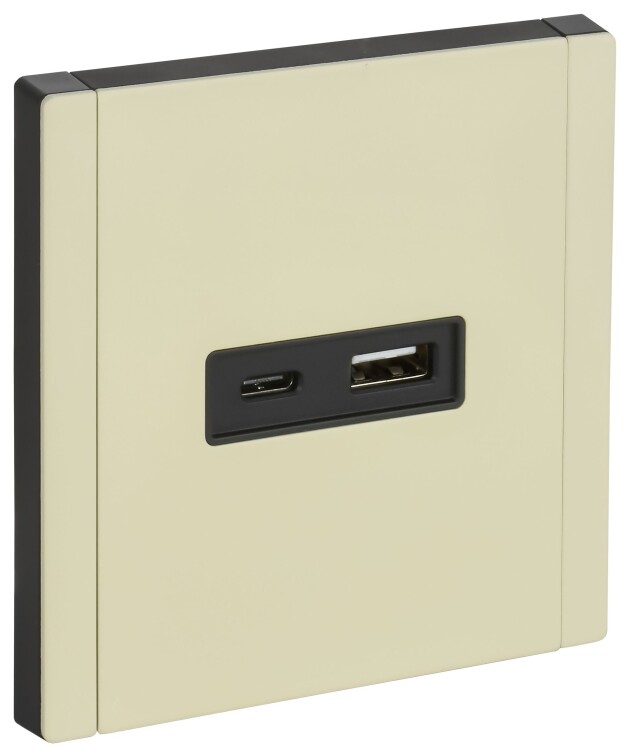 Картинка IEK FORTE&PIANO Металл Слоновая кость Розетка USB A+C 18Вт FP851M (FP-U22-018-M-K41) в интернет-магазине Форум Электро в Москве