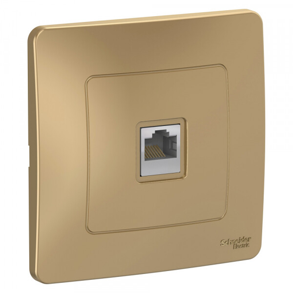 Картинка Systeme Electric Blanca внутр Титан Розетка компьютерная RJ45 (BLNIS045004) в интернет-магазине Форум Электро в Москве