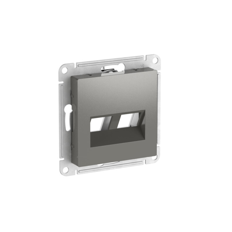 Картинка Systeme Electric AtlasDesign Сталь Накладка двойная для информационных функций типа Keystone (ATN000990) в интернет-магазине Форум Электро в Москве