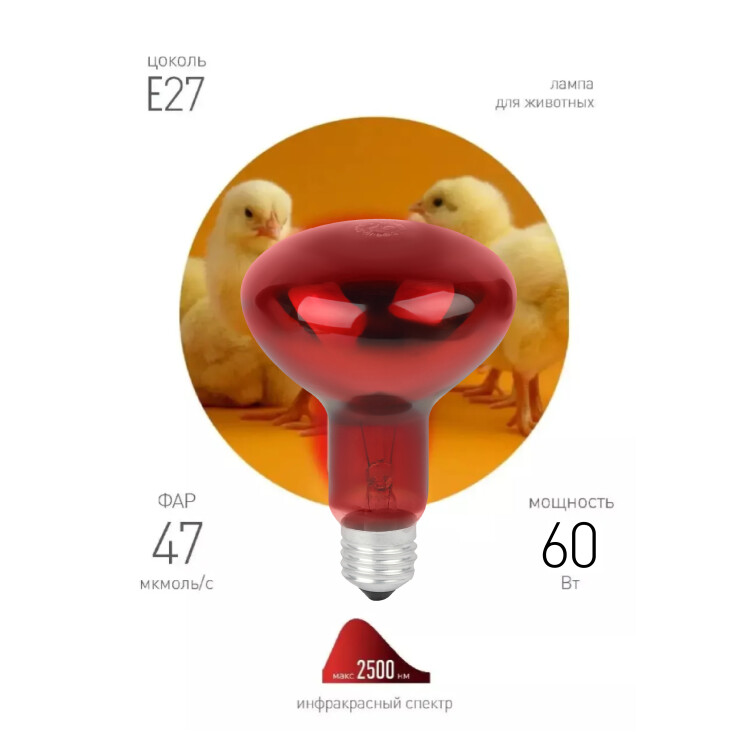 Комплект из 2-х инфракрасных ламп ЭРА ИКЗК 230-60 R63 E27 для курятника цыплят птиц животных/лампа д (Б0072848) превью в интернет-магазине электрики Форум Электро в Москве