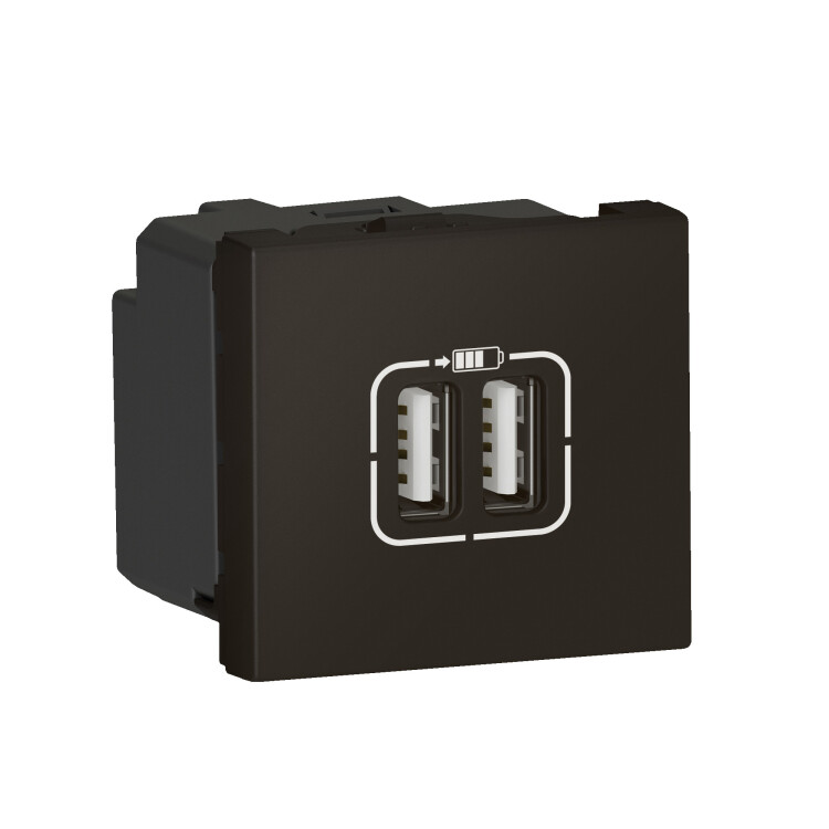 Картинка Mosaic Роз.2xUSB д/заряд. черн (079384) в интернет-магазине Форум Электро в Москве