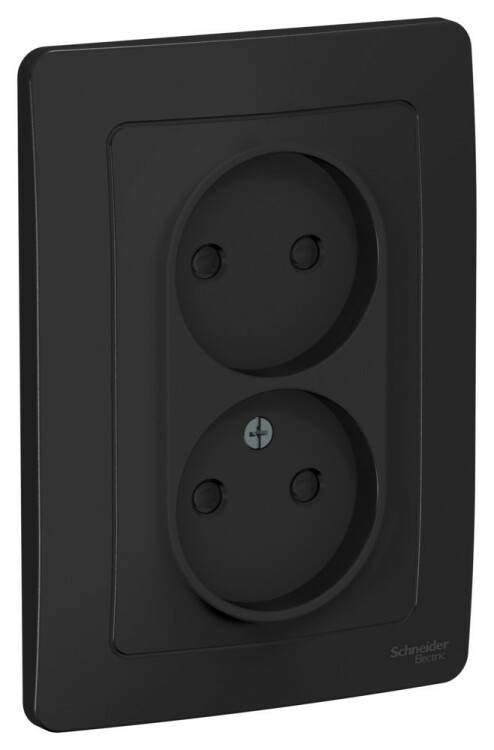 Картинка Systeme Electric Blanca внутр Антрацит Розетка 2-ая б/з со шторками, 16А, 250В (BLNRS000126) в интернет-магазине Форум Электро в Москве