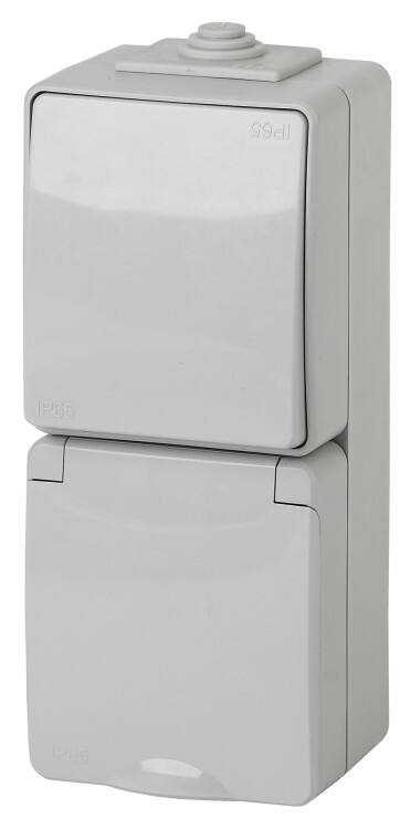 Картинка 11-7607-03 ЭРА Блок розетка+выкл. верт. IP65, 16A(10AX)-250В, ОУ, Эра Эксперт, серый (5/50/800) (Б0035998) в интернет-магазине Форум Электро в Москве