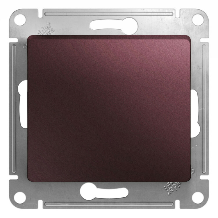 Картинка Systeme Electric Glossa Баклажановый Выключатель 1-клавишный, сх.1, 10AX (GSL001111) в интернет-магазине Форум Электро в Москве