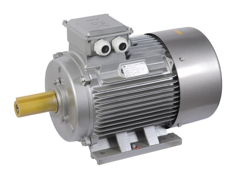 DRIVE Эл.двиг 3ф АИР 280S8 660-55-750 1081 PTC IEK (DRV280-S8-055-0-0710-2-C) превью в интернет-магазине электрики Форум Электро в Москве