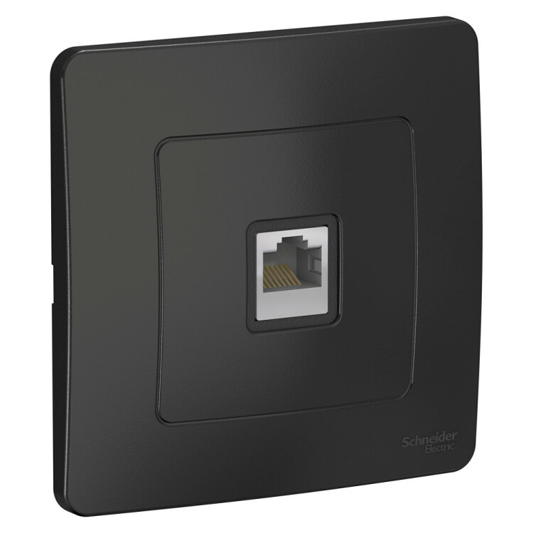 Картинка Systeme Electric Blanca внутр Антрацит Розетка компьютерная RJ45 (BLNIS045006) в интернет-магазине Форум Электро в Москве