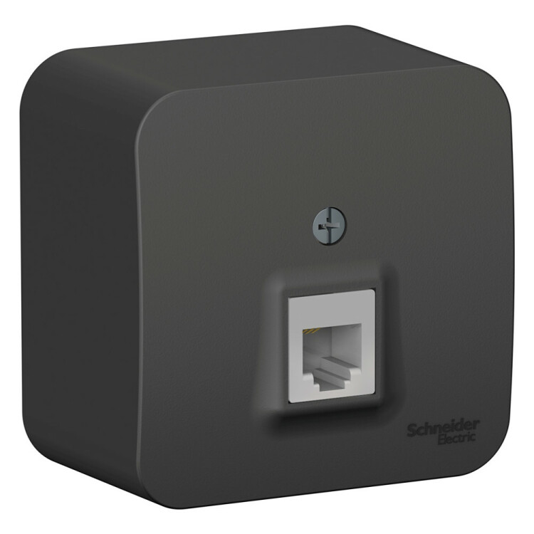 Фотография Systeme Electric Blanca наруж Антрацит Розетка ТЛФ RJ11 изолир. пластина (BLNIA011006) в интернет-магазине Форум Электро в Москве Картинка Systeme Electric Blanca наруж Антрацит Розетка ТЛФ RJ11 изолир. пластина (BLNIA011006) в интернет-магазине Форум Электро в Москве