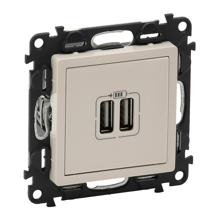 Картинка Legrand Valena LIFE DIY Сл.кость Розетка 2-ая USB 240В/5В 1500мА (753512) в интернет-магазине Форум Электро в Москве
