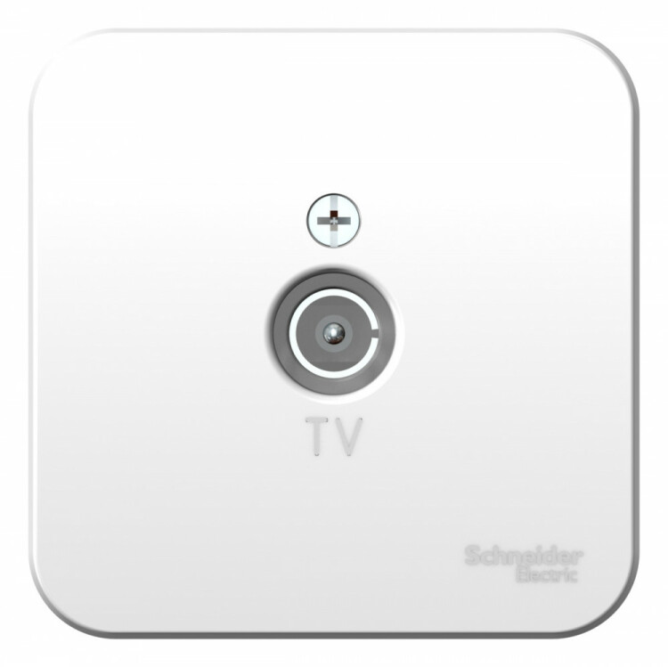 Картинка Systeme Electric Blanca наруж Бел Розетка TV, изолир. пластина (BLNTA000011) в интернет-магазине Форум Электро в Москве