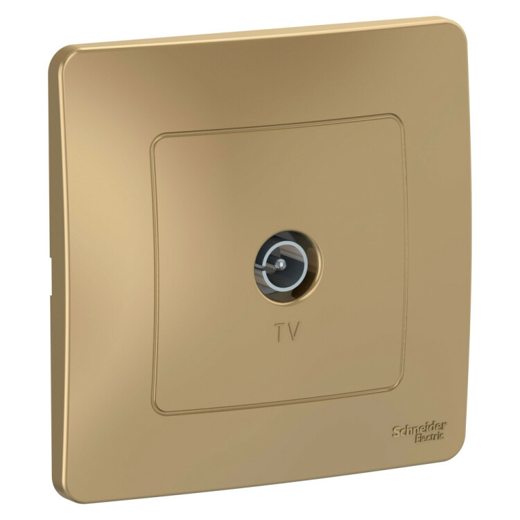 Картинка Systeme Electric Blanca внутр Титан Розетка TV (BLNTS000014) в интернет-магазине Форум Электро в Москве