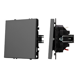 Картинка Arlight Механизм звонкового выключателя SWT-NOBE-MKR1-SFPL-GR (230V, 10A) (Серый базальт) (054272(1)) в интернет-магазине Форум Электро в Москве