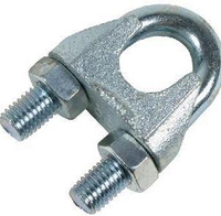 DKC Зажим для стального троса M3 (=this.property.MANUFACTURERCODE}) фото в интернет-магазине Форум Электро в Москве