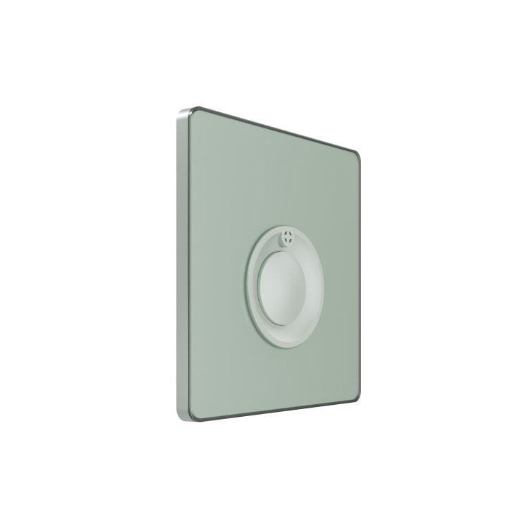 Картинка Systeme Electric Systeme Infinity Таежное утро Выключатель кнопочный 100Вт с выдержкой времени (FSE000868) в интернет-магазине Форум Электро в Москве