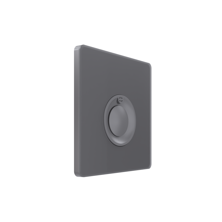 Картинка Systeme Electric Systeme Infinity Вулканический пепел Выключатель кнопочный 100Вт с выдержкой времени (FSE000768) в интернет-магазине Форум Электро в Москве