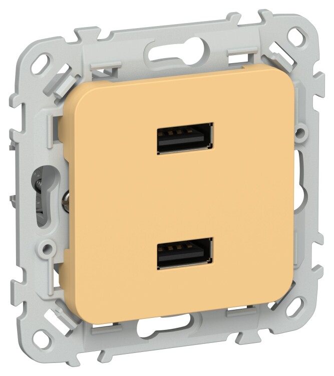 Картинка IEK FLITE Золотарник Розетка USB A+A 31А (FI-U21-D31-K90) в интернет-магазине Форум Электро в Москве