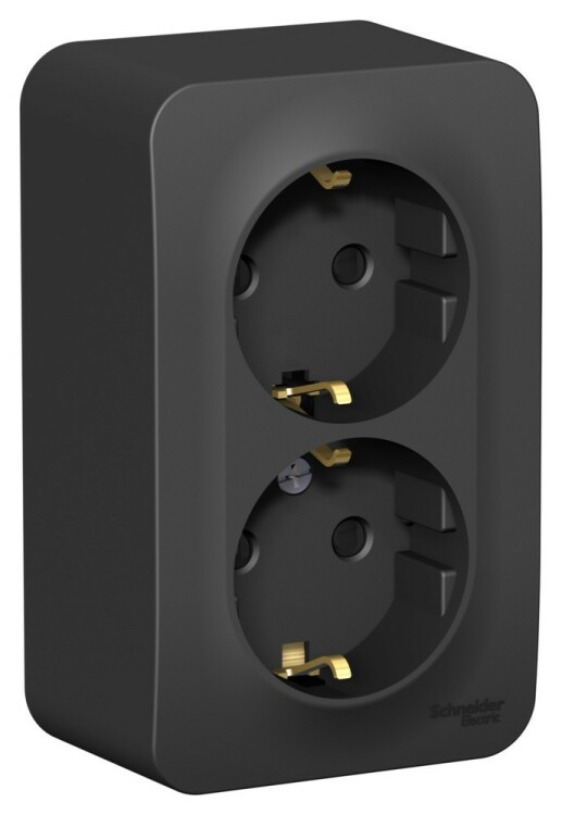 Картинка Systeme Electric Blanca наруж Антрацит Розетка 2-ая с/з со шторками., 16А, 250В (BLNRA011206) в интернет-магазине Форум Электро в Москве