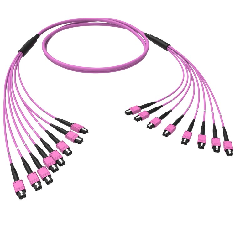 DKC Оптическая магистральная сборка 96 ОВ 50/125 OM4, 8xMTP PRO(12)m/8xMTP PRO(12)m, тип В, 10 м (RNTMM8X12410) превью в интернет-магазине электрики Форум Электро в Москве