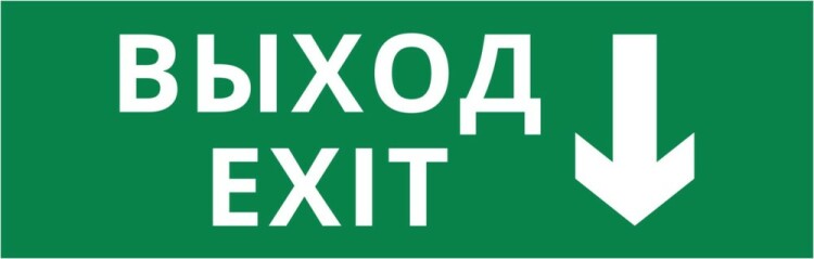 DEKraft Пиктограмма ДСО-101-IP65-Н "Выход - вниз" (62335DEK) превью в интернет-магазине электрики Форум Электро в Москве