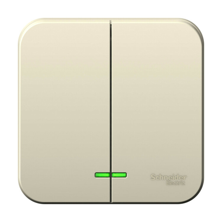 Картинка Systeme Electric Blanca наруж Молочный Выключатель 2-клавишный с подсветкой, 6А, 250В (BLNVA065102) в интернет-магазине Форум Электро в Москве