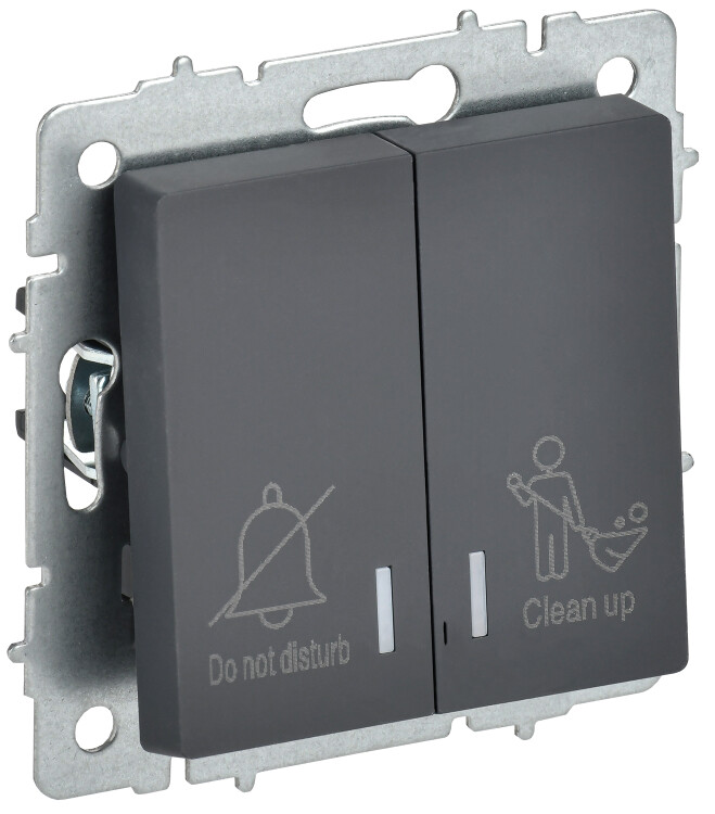 Фотография BRITE Выключ. 2-кл. с инд. отел. 10А ВС10-2-9-БрГ граф. IEK (BR-V20-2-10-K53) в интернет-магазине Форум Электро в Москве Картинка BRITE Выключ. 2-кл. с инд. отел. 10А ВС10-2-9-БрГ граф. IEK (BR-V20-2-10-K53) в интернет-магазине Форум Электро в Москве