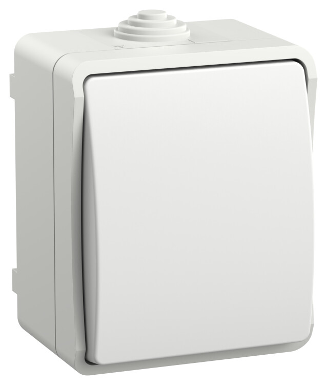 Картинка IEK FORS Выкл. 1-кл. прох. о/у IP54 ВС20-1-0-ФБ бел. (EVS10-K01-10-54-DC) в интернет-магазине Форум Электро в Москве