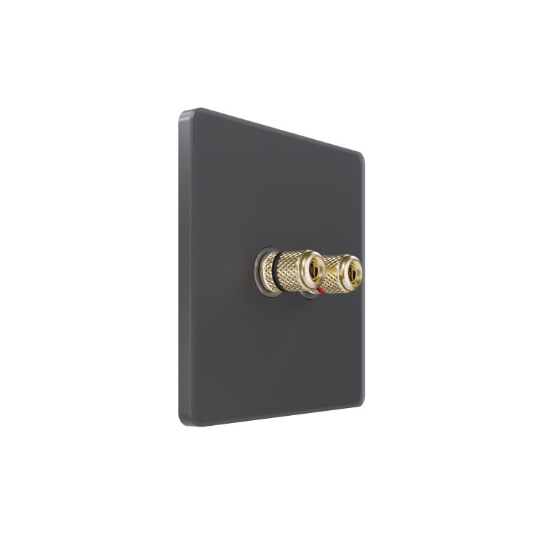 Картинка Systeme Electric Systeme Infinity Вулканический пепел Розетка аудио (FSE000787) в интернет-магазине Форум Электро в Москве