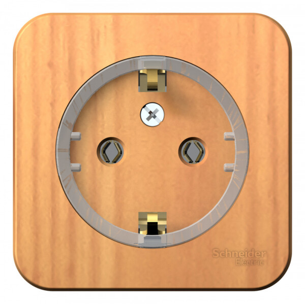 Картинка Systeme Electric Blanca наруж Ясень Розетка с/з без шторок, (тонкая), 16А, 250В (BLNRA110115) в интернет-магазине Форум Электро в Москве