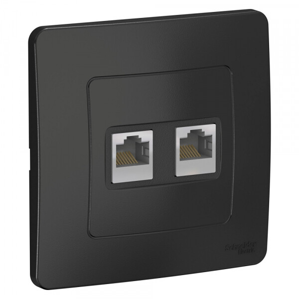 Картинка Systeme Electric Blanca внутр Антрацит Розетка 2-ая компьютерная RJ45 (BLNIS045456) в интернет-магазине Форум Электро в Москве