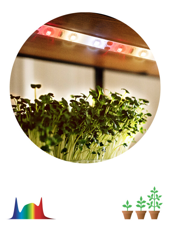 ЭРА FITO-Strip Light-Rа90-3m ЭРА FITO-Strip Light-Rа90-3m (Б0059881) превью в интернет-магазине электрики Форум Электро в Москве