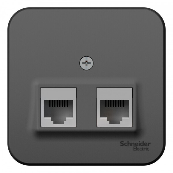Картинка Systeme Electric Blanca наруж Антрацит Розетка 2-ая компьютерная RJ45, кат.5E, изол. пластина (BLNIA045456) в интернет-магазине Форум Электро в Москве