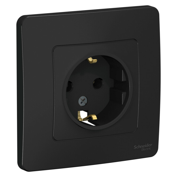 Картинка Systeme Electric Blanca внутр Антрацит Розетка с/з без шторок, 16А, 250В (BLNRS001016) в интернет-магазине Форум Электро в Москве