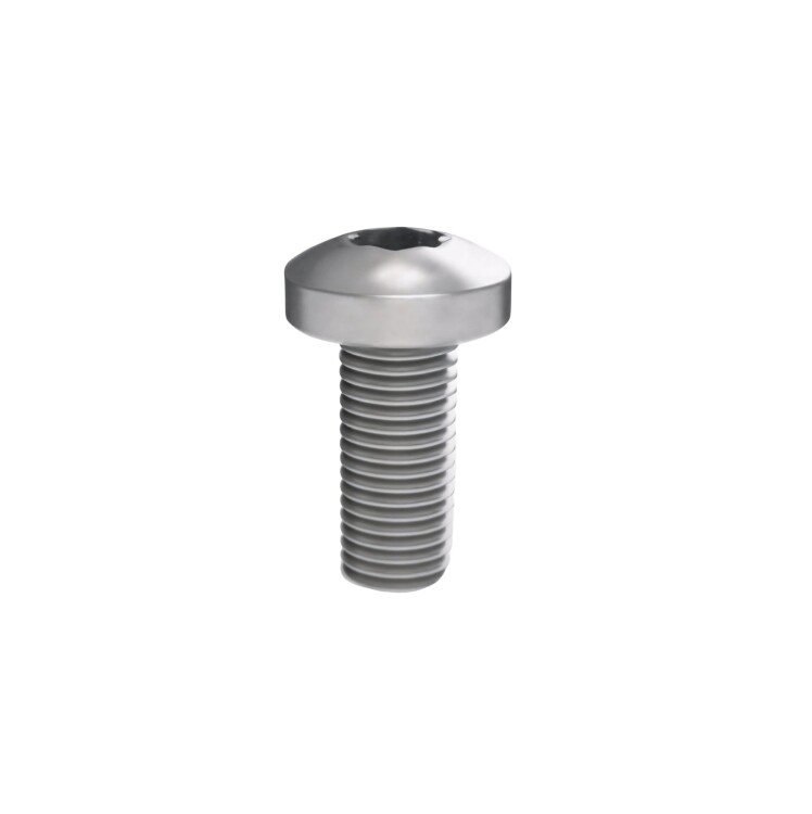 DKC Винт М6х16 под шлиц Torx, комплект 50 шт., РАМ Пауэр (RAM power) (R5M616) превью в интернет-магазине электрики Форум Электро в Москве