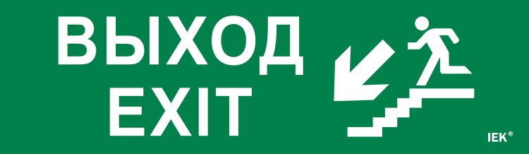 IEK Этикетка самокл. 310х90мм "Выход/лест. вниз/фигура" (LPC10-1-31-09-VLVNF) превью в интернет-магазине электрики Форум Электро в Москве