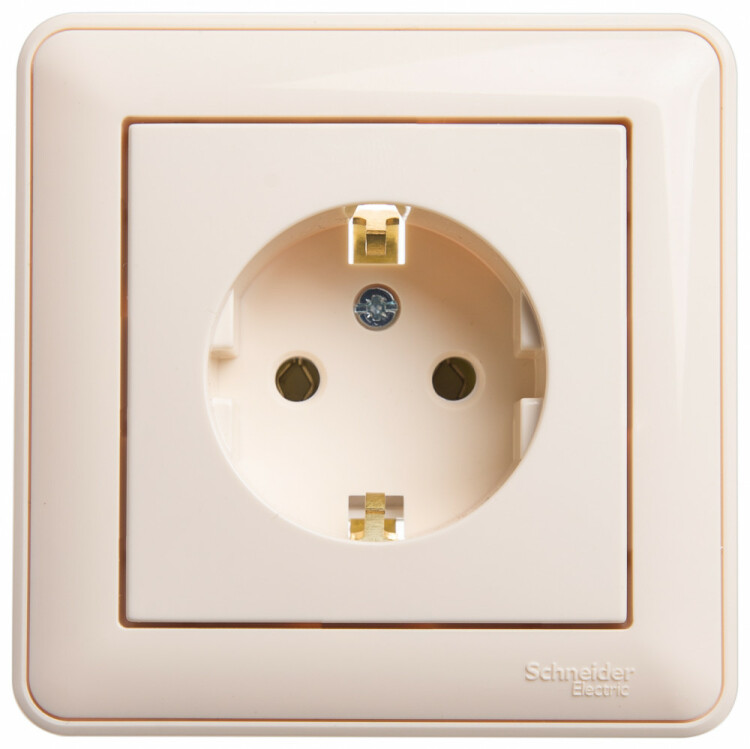 Картинка Systeme Electric Wessen 59 Беж Розетка с/з без шторок, 16А (в сборе) (RS16-154-28) в интернет-магазине Форум Электро в Москве